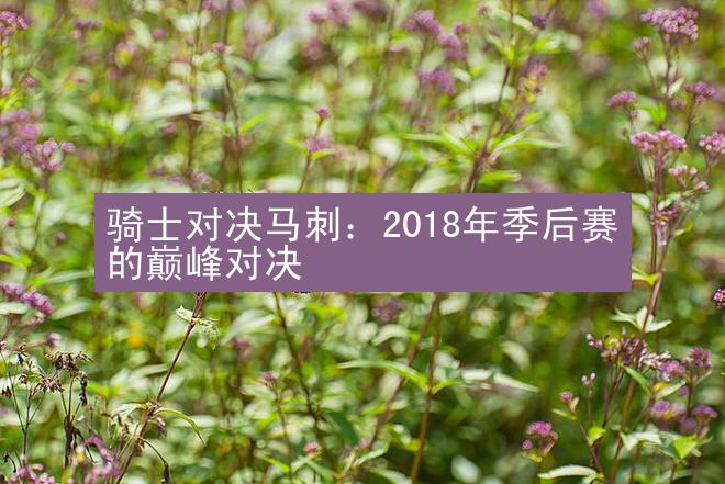 骑士对决马刺：2018年季后赛的巅峰对决